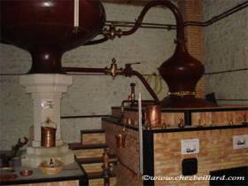 Pour découvrir la fabrication du Cognac